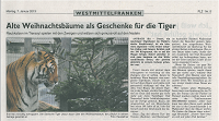 09. Januar 2013 (FLZ): Alte Weinachtsbäume als Geschenke für die Tiger