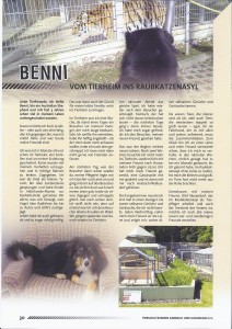 Benni1