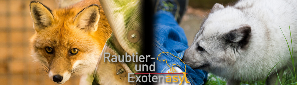 Raubtier- und Exotenasyl e.V.