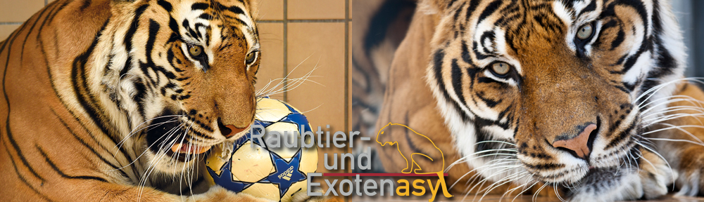 Raubtier- und Exotenasyl e.V.